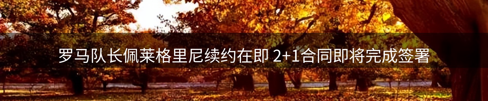 新闻资讯